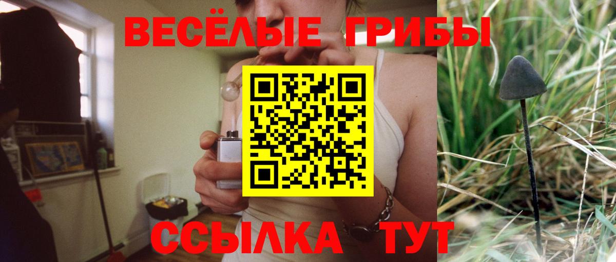 Галлюциногенные грибы MAGIC MUSHROOMS Чистополь